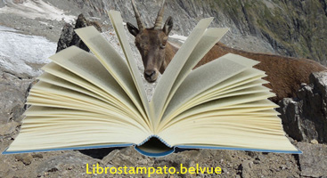 Librostampato
